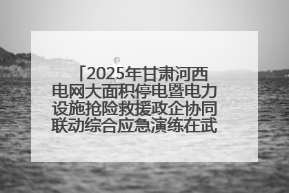 2025年甘肃河西电网大面积停电暨电力设施抢险救援政企协同联动综合应急演练在武威成功举行