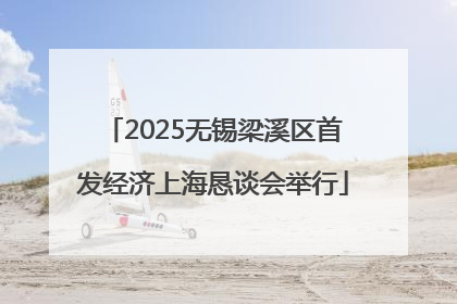 2025无锡梁溪区首发经济上海恳谈会举行