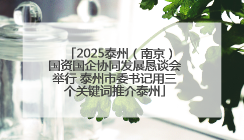 2025泰州（南京）国资国企协同发展恳谈会举行 泰州市委书记用三个关键词推介泰州