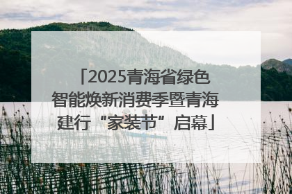 2025青海省绿色智能焕新消费季暨青海建行“家装节”启幕