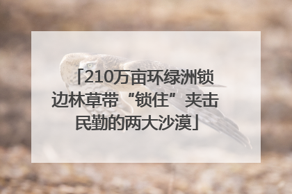 210万亩环绿洲锁边林草带“锁住”夹击民勤的两大沙漠