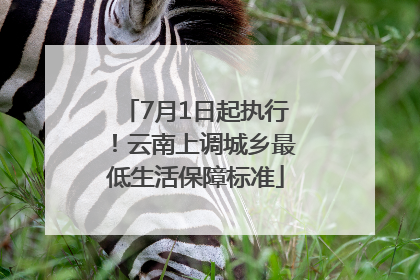 7月1日起执行！云南上调城乡最低生活保障标准