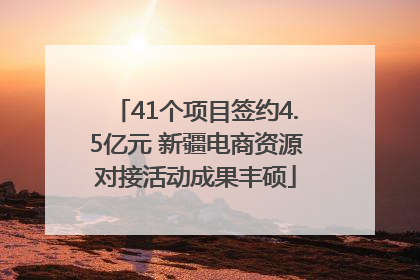 41个项目签约4.5亿元 新疆电商资源对接活动成果丰硕
