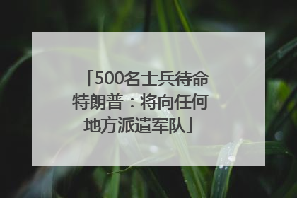 500名士兵待命 特朗普：将向任何地方派遣军队