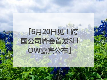6月20日见！跨国公司峰会首发SHOW嘉宾公布