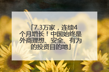 7.3万家，连续4个月增长！中国始终是外商理想、安全、有为的投资目的地