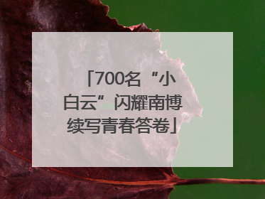 700名“小白云”闪耀南博续写青春答卷