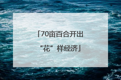 70亩百合开出“花”样经济