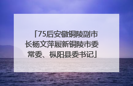 75后安徽铜陵副市长杨文萍履新铜陵市委常委、枞阳县委书记