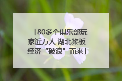80多个俱乐部玩家近万人 湖北桨板经济“破浪”而来