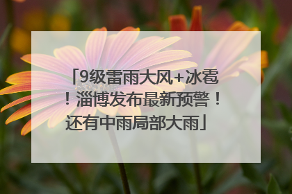 9级雷雨大风+冰雹！淄博发布最新预警！还有中雨局部大雨