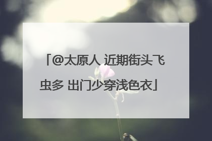 @太原人 近期街头飞虫多 出门少穿浅色衣