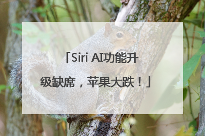 Siri AI功能升级缺席，苹果大跌！