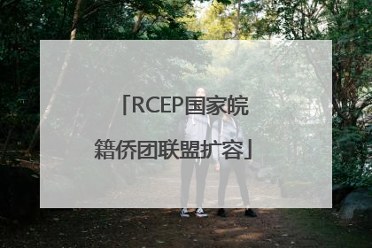 RCEP国家皖籍侨团联盟扩容