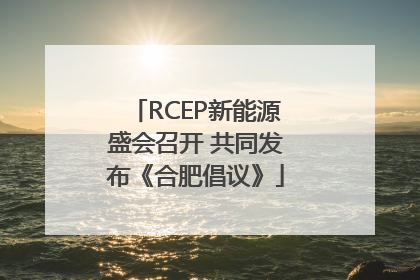 RCEP新能源盛会召开 共同发布《合肥倡议》